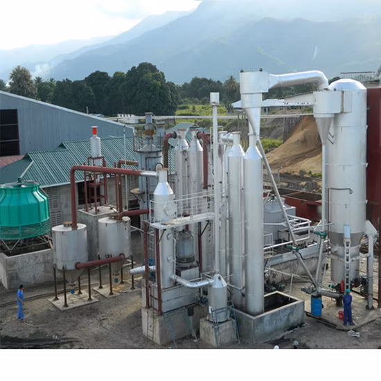 Gaseificação de carvão do gaseificador de carvão da fase da planta da gaseificação do carvão da fase dobro de poupança de energia